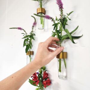 Minimal Wall Vase: Antique Brass Ring — Antique Brass / Single Vase